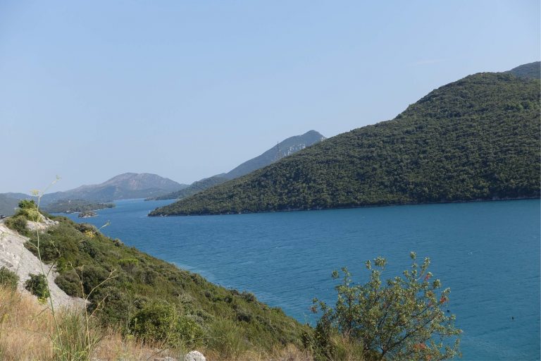 Read more about the article STON – NEUM