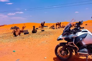 moto-chameaux